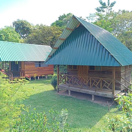 Quirquincho House Lodge Puerto Maldonado Ngoại thất bức ảnh