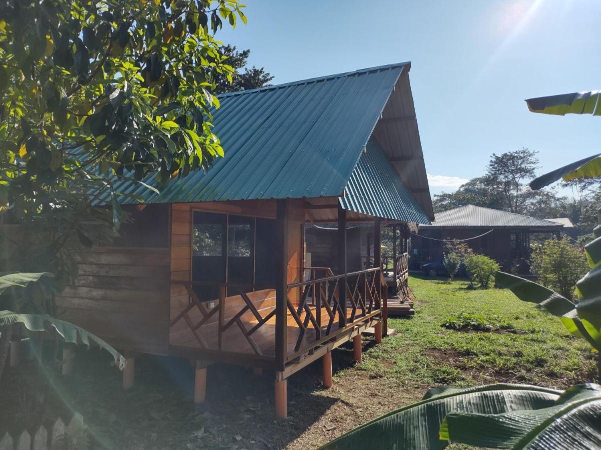 Quirquincho House Lodge Puerto Maldonado Ngoại thất bức ảnh
