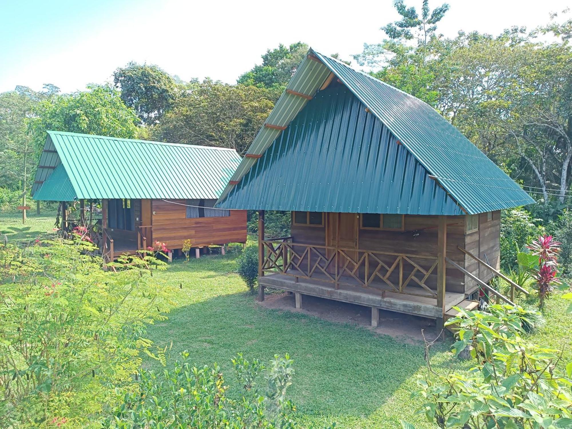 Quirquincho House Lodge Puerto Maldonado Ngoại thất bức ảnh