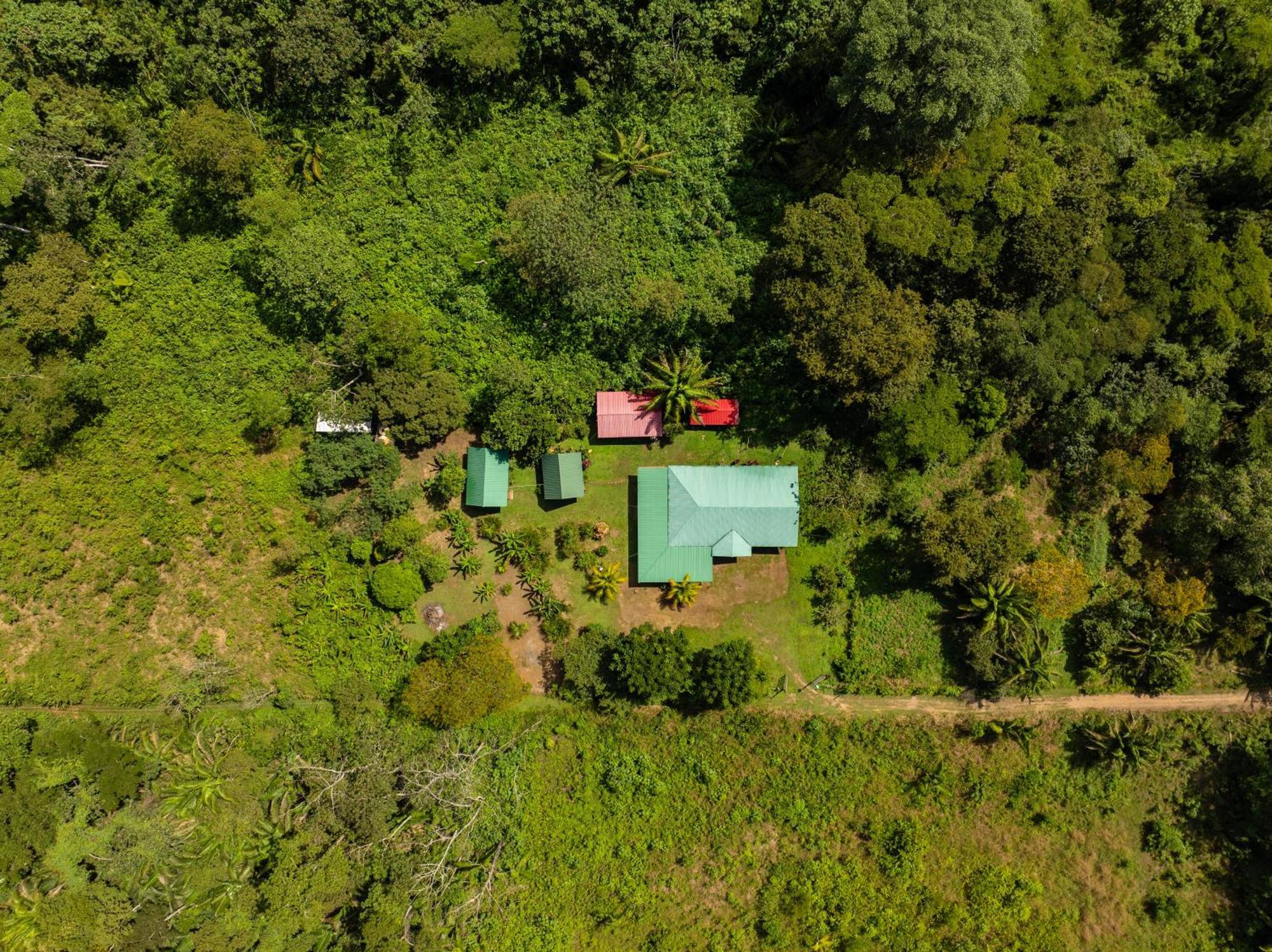 Quirquincho House Lodge Puerto Maldonado Ngoại thất bức ảnh